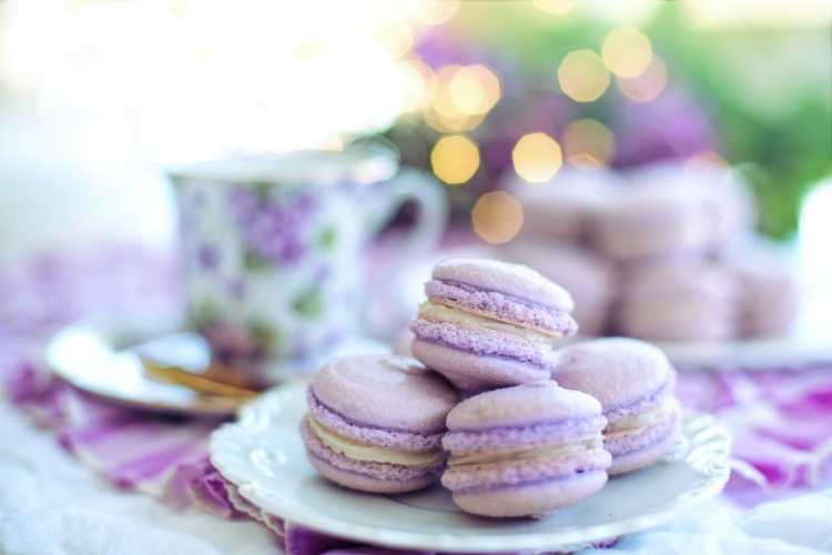 Close-Up Photo of Macarons on Plate