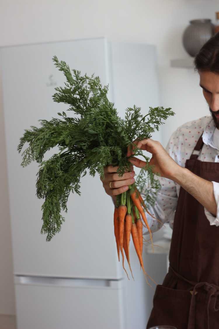 A Man Holding Baby Carrots with Leaves