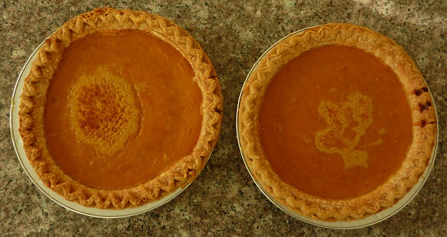 can-you-freeze-pumpkin-pie-yes-you-can-evolving-table